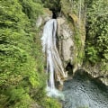 Eligibility Requirements for Non-Profits in Twin Falls, Idaho
